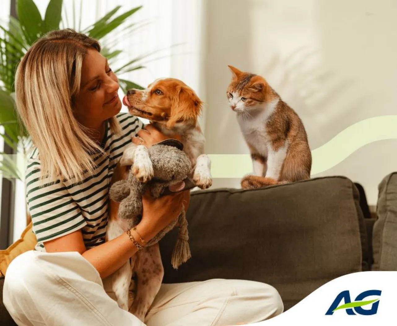 Top Hond & Kat / Top Chien & Chat